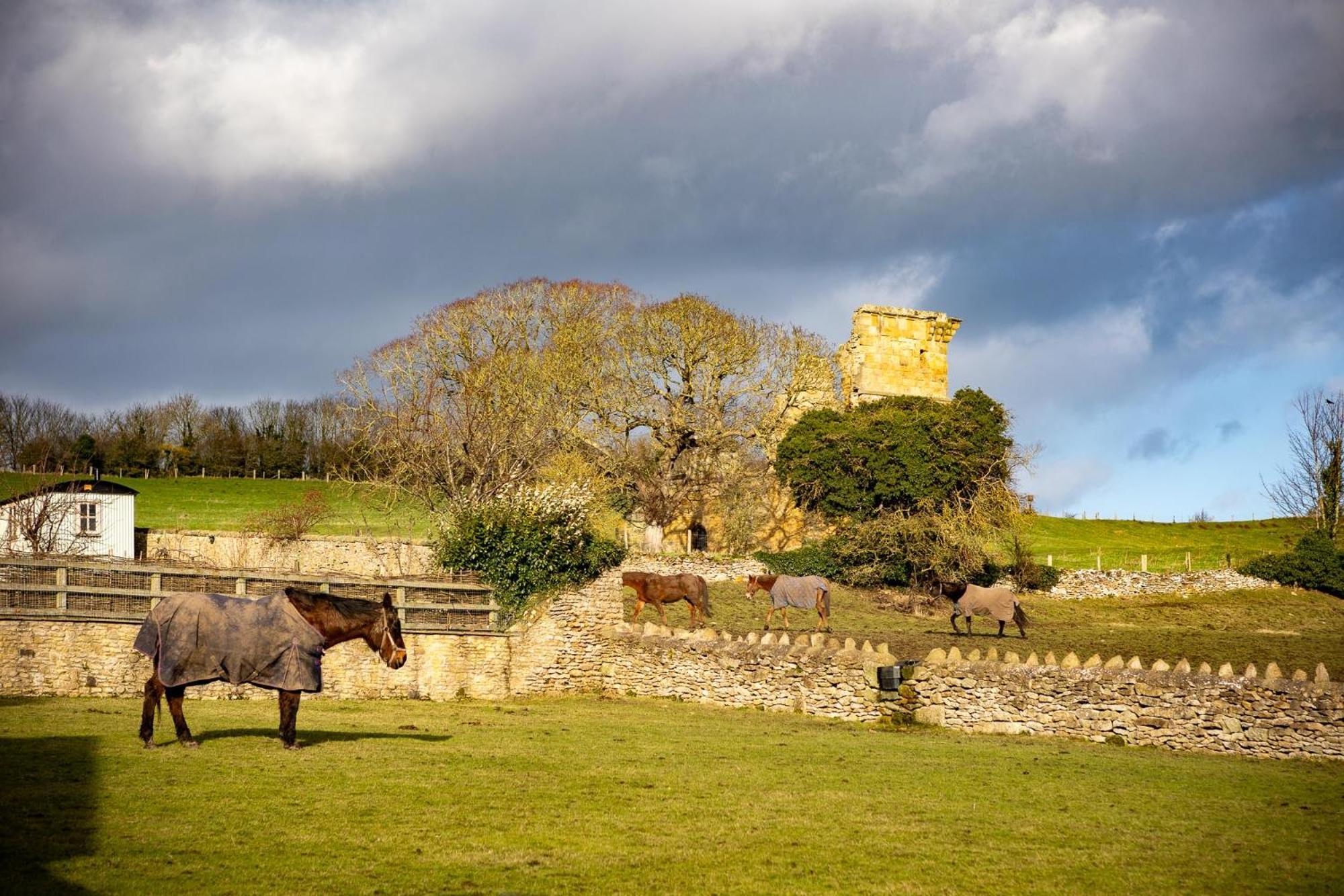Yew Tree Cottage East Ayton ภายนอก รูปภาพ